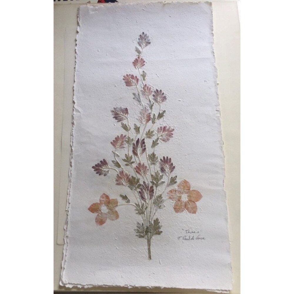 Pressed Flower Composition Signed '"Tavaria" St. Paul de Vence  Hand Made Paper